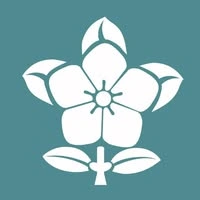 دار البلسم