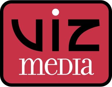 VIZ LLC