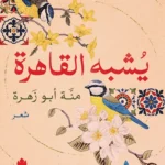 يشبه القاهرة