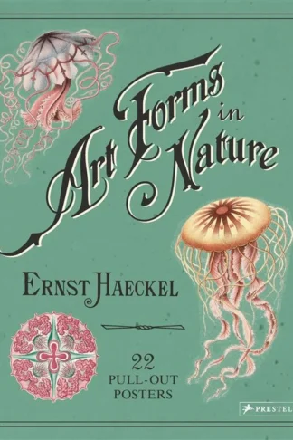 Art Forms in Nature: 22 Pull-Out Posters