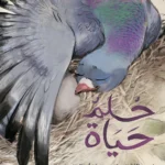 حلم حياة