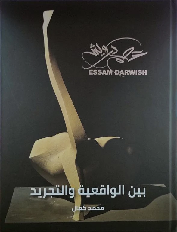 غلاف عصام درويش: بين الواقعية والتجريد, محمد كمال, إيه آر جروب