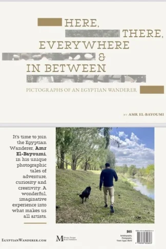 Here, There, Everywhere & In Between: Pictographs ofAn Egyptian Wanderer by Amr El-Bayoumi book cover