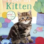 I Love My: Kitten (A Pop-Up Book About the Lives of Cute Kittens)