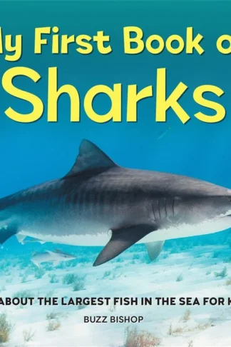 My First Book of: Sharks (All About the Largest Fish in the Sea for Kids) by Buzz Bishop book cover