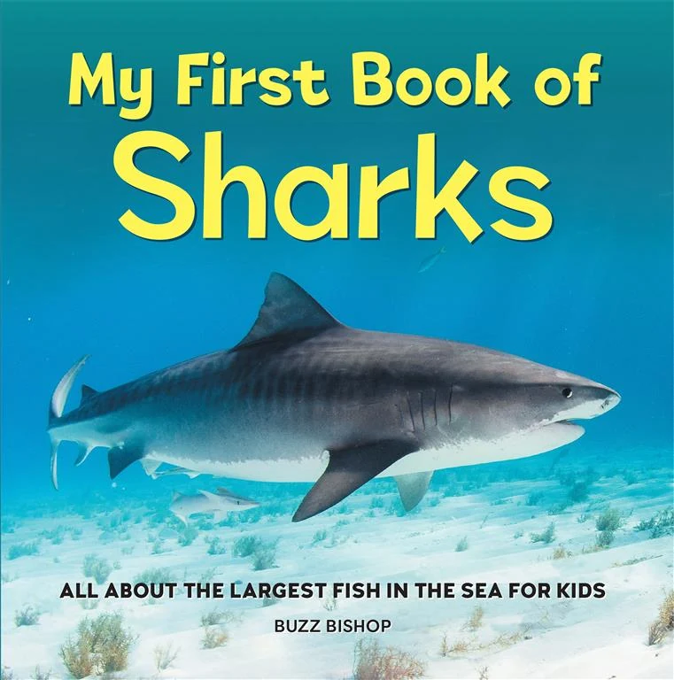 My First Book of: Sharks (All About the Largest Fish in the Sea for Kids) by Buzz Bishop book cover