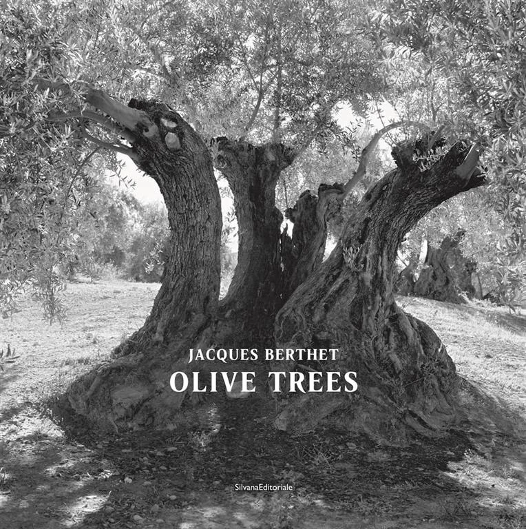 Olive Trees by Jacques Berthet book cover
