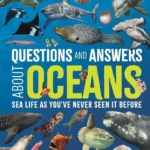 Questions and Answers About: Oceans and Ocean Life