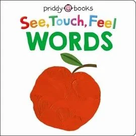 See, Touch, Feel: Words book cover