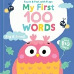 Touch & Feel with Flaps: My First 100 Words: Big & Small
