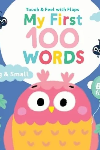 Touch & Feel with Flaps: My First 100 Words: Big & Small book cover