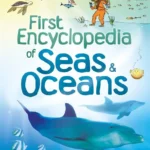 Usborne First Encyclopedia of: Seas & Oceans