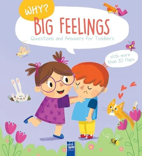 Why? Questions and Answers for Toddlers: Big Feelings book cover