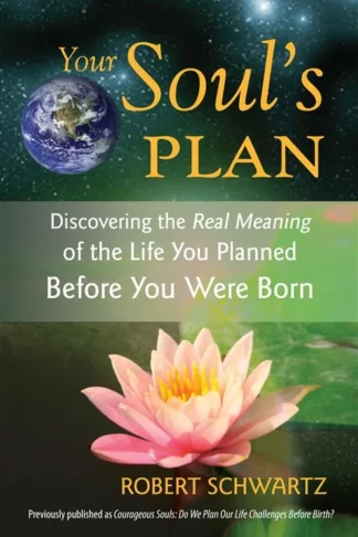 Your Soul's Plan: Discovering the Real Meaning of the Life You Planned Before You Were Born by Robert Schwartz book cover