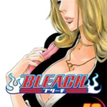 Bleach 46