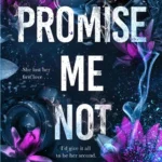 Boys of Avix 2: Promise Me Not