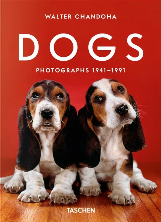 Dogs: Photographs 1941-1991
