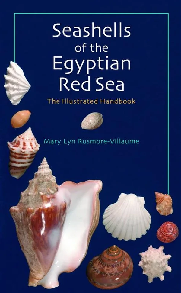 Seashells of the Egyptian Red Sea