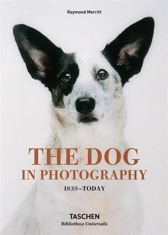 The Dog in Photography: 1839-Today